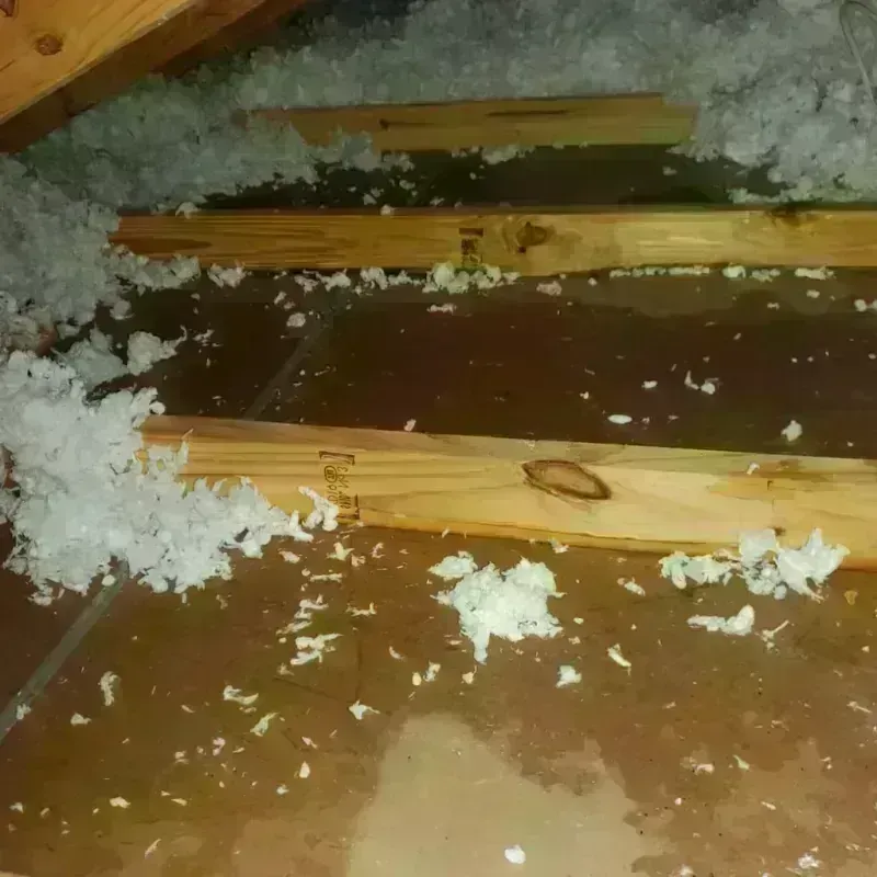 Attic Water Damage in The Colony, TX