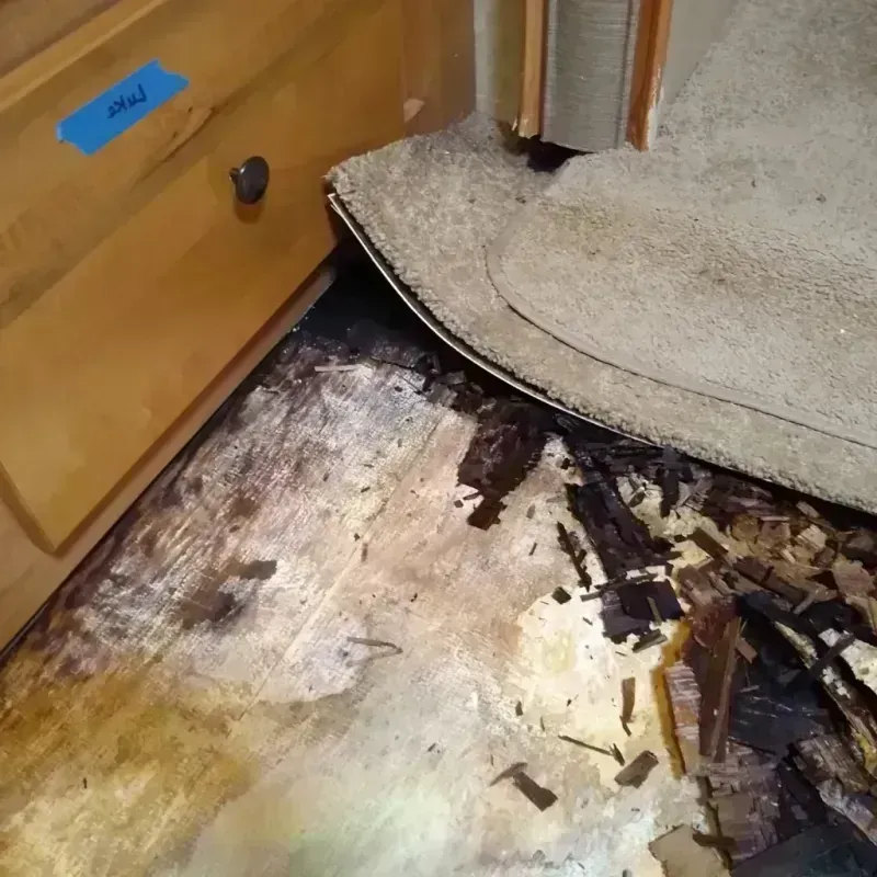 Best Wood Floor Water Damage Service in The Colony, TX